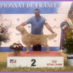 Resultados Dijon Campeonato de Francia 2023